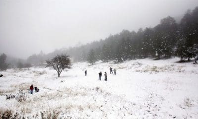 / Personas juegan con la nieve en la Sierra de Arteaga, en el estado mexicano de Coahuila. Daniel Becerril / Reuters