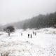 / Personas juegan con la nieve en la Sierra de Arteaga, en el estado mexicano de Coahuila. Daniel Becerril / Reuters