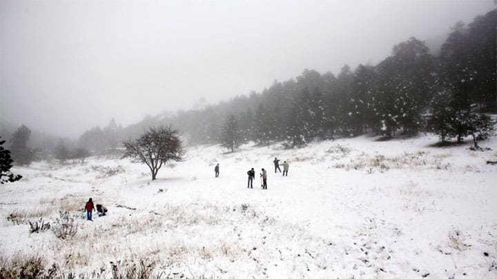 / Personas juegan con la nieve en la Sierra de Arteaga, en el estado mexicano de Coahuila. Daniel Becerril / Reuters