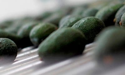 / Carlos Jasso / Reuters