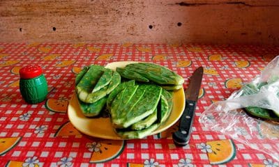 / Un plato de nopal colocado sobre una mesa en la casa de una familia de bajos recursos en las afueras de la Ciudad de México el 17 de mayo de 2011. Carlos Jasso / Reuters