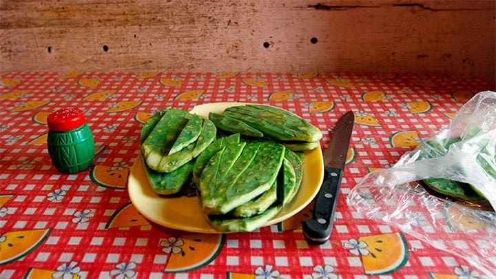 / Un plato de nopal colocado sobre una mesa en la casa de una familia de bajos recursos en las afueras de la Ciudad de México el 17 de mayo de 2011. Carlos Jasso / Reuters