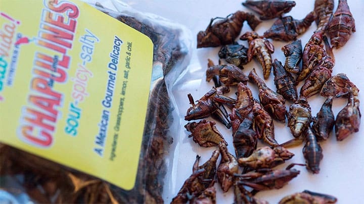 / Portland Press Herald / Gettyimages.ru