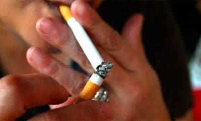 / M…XICO-TABACO