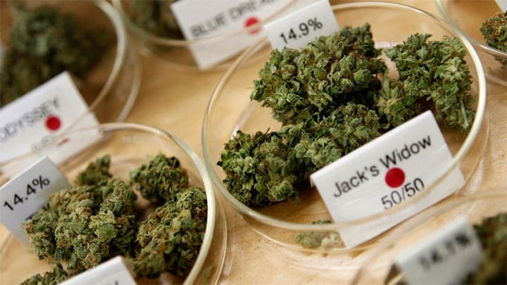 / Dispensario muestra costo y potencia de marihuana medicinal en sucursal de Oakland, California. 30 de junio de 2010. Robert Galbraith / Reuters