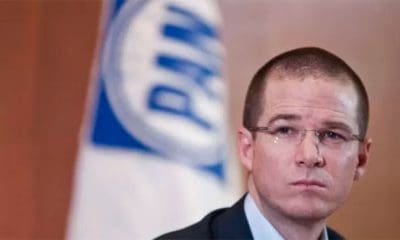 / Foto: Internet