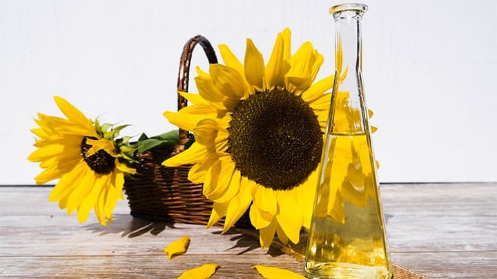 / Imagen ilustrativa Pixabay / Bru-nO