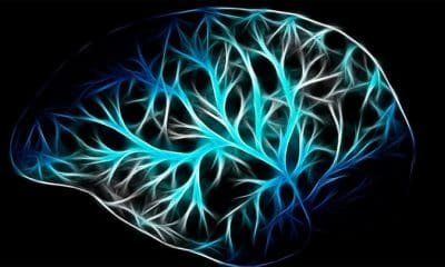 / Imagen ilustrativa. Pixabay / geralt