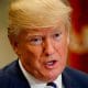 / El presidente de EE.UU. Donald Trump. Leah Millis / Reuters