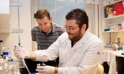/ El profesor Markus Heilig y el ingeniero superior de investigación Eric Augier de la Universidad de Linköping. Linköping University / Pia Molin