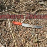 WhatsApp Image 2018-06-05 at 7