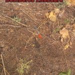 WhatsApp Image 2018-06-05 at 7