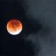 / Superluna y eclipse lunar. Alexander Kriázhev / Sputnik