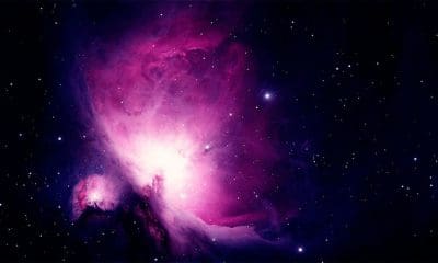 / Imagen ilustrativa Pixabay / WikiImages