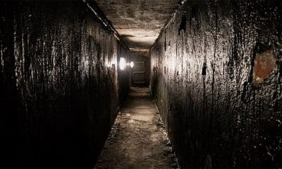 / Imagen ilustrativa Pixabay / tomaszpro