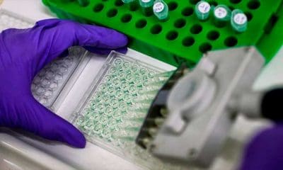https://es.rt.com/67mt Portada Actualidad Revelan la forma de prevenir uno de los cánceres más peligrosos