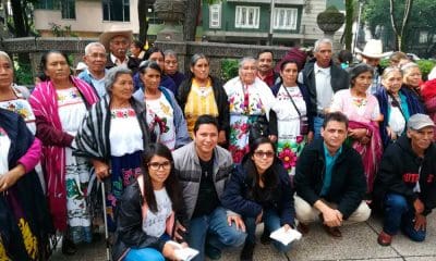 Llevarán Palomas Mensajeras celebración de Día de Muertos a sus familias en EU