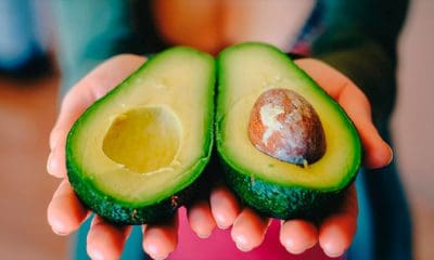 / Imagen ilustrativa. Pixabay / coyot