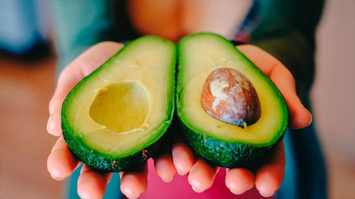 / Imagen ilustrativa. Pixabay / coyot