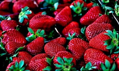 / Foto ilustrativa pixabay.com