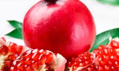 Estos son los alimentos con antioxidantes que te protegen contra el cáncer