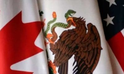 USMCA es bueno para México, pero el Senado tiene la última palabra, Seade