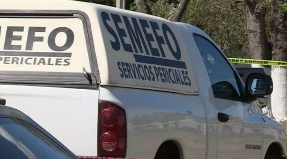 Semefo