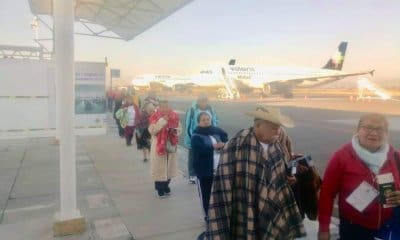 palomas mensajeras Tuzantla