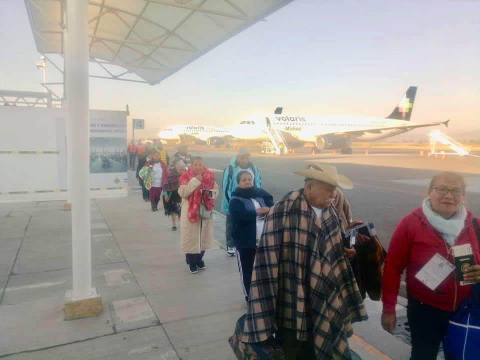 palomas mensajeras Tuzantla