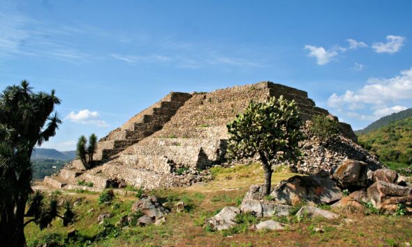 Priamides en Zitácuaro