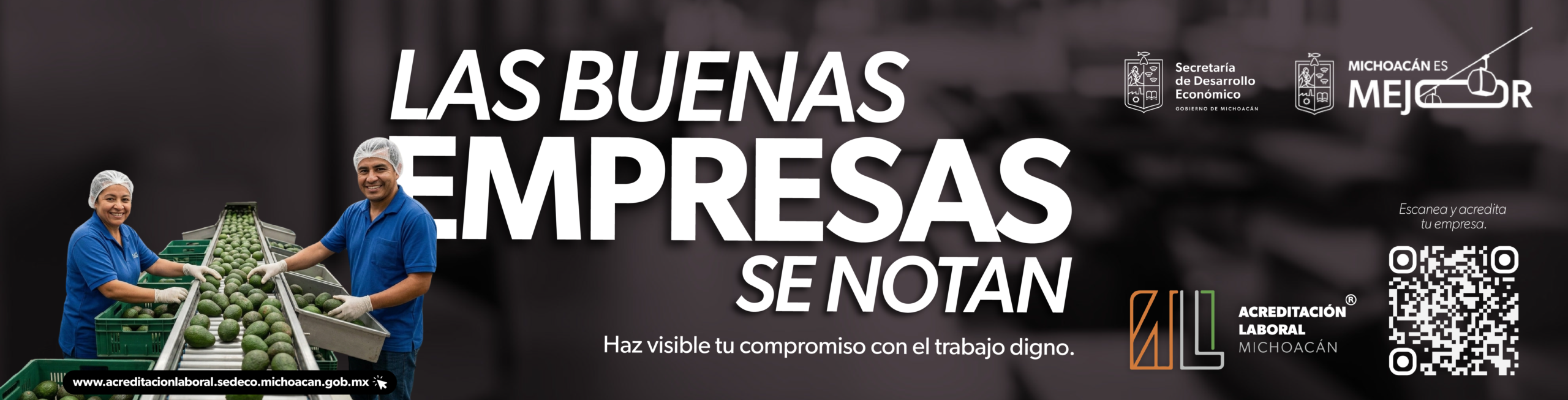 Banner Mi Zitácuaro